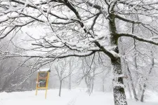 Szombatra már 10-15 centi hó is hullhat, de az ország nagy része csak a szokásos csúf őszi esőt kapja