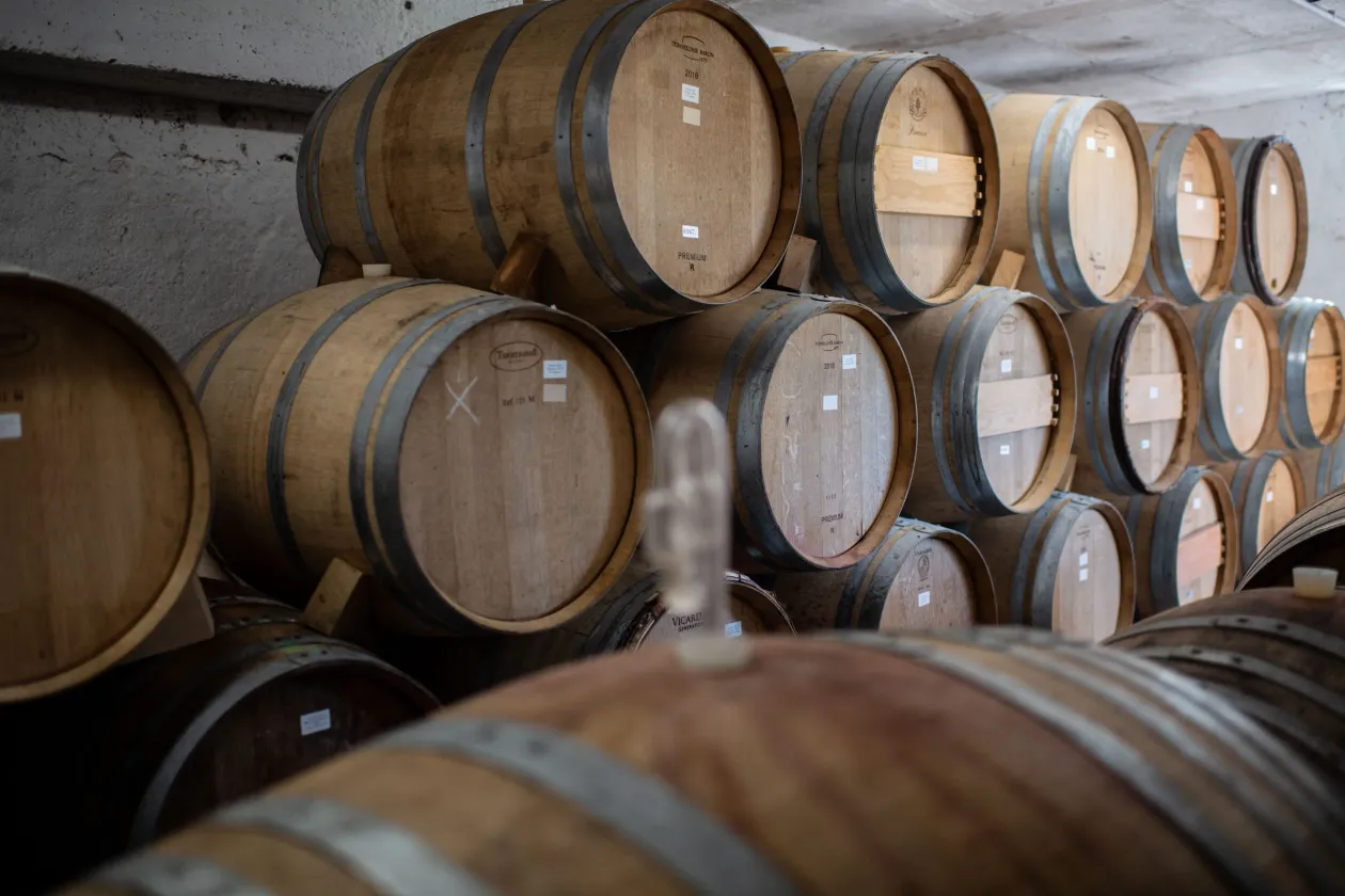 The Barnag Wines Winery in Barnag – Photo: János Bődey / Telex