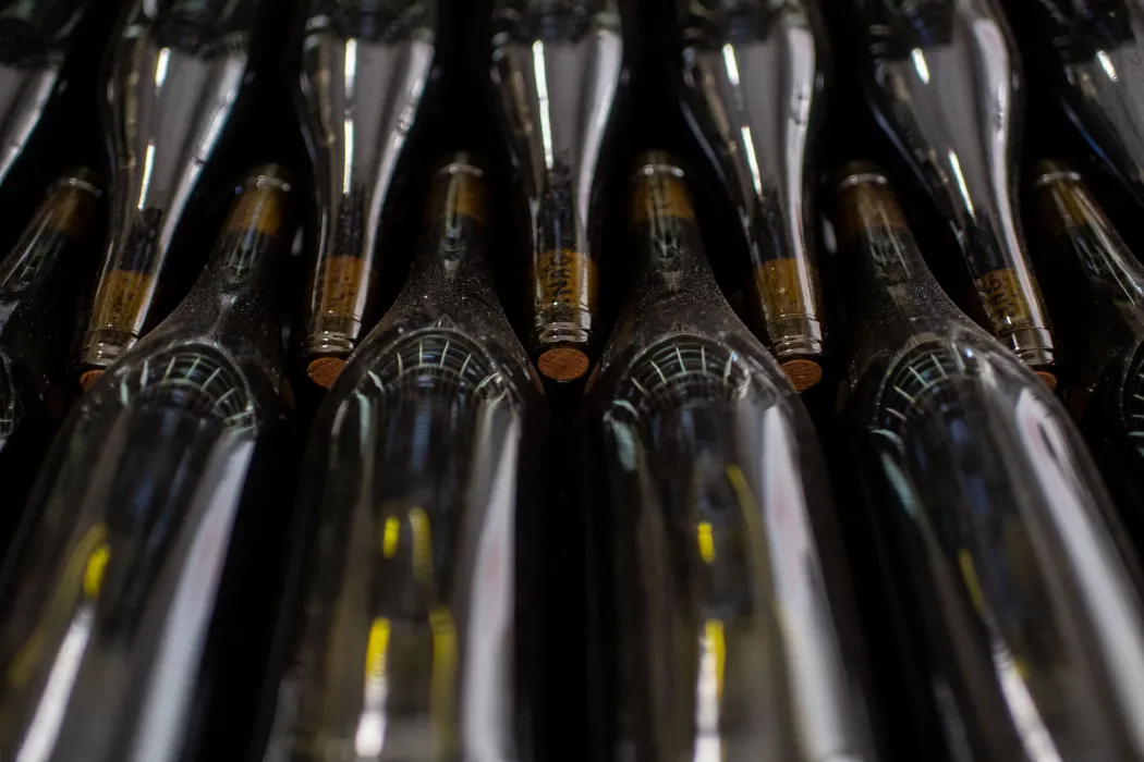 Bottles of Barnag Wines in the Barnag cellar – Photo: János Bődey / Telex