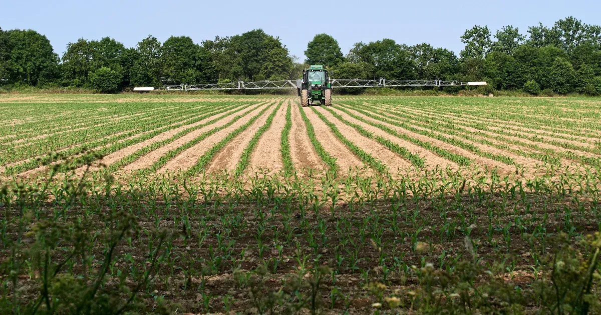 A magyar EU-s biztos azt javasolta, hogy ne kelljen rendszeresen felülvizsgálni a permetezőszerek kockázatát