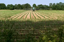A magyar EU-s biztos azt javasolta, hogy ne kelljen rendszeresen felülvizsgálni a permetezőszerek kockázatát