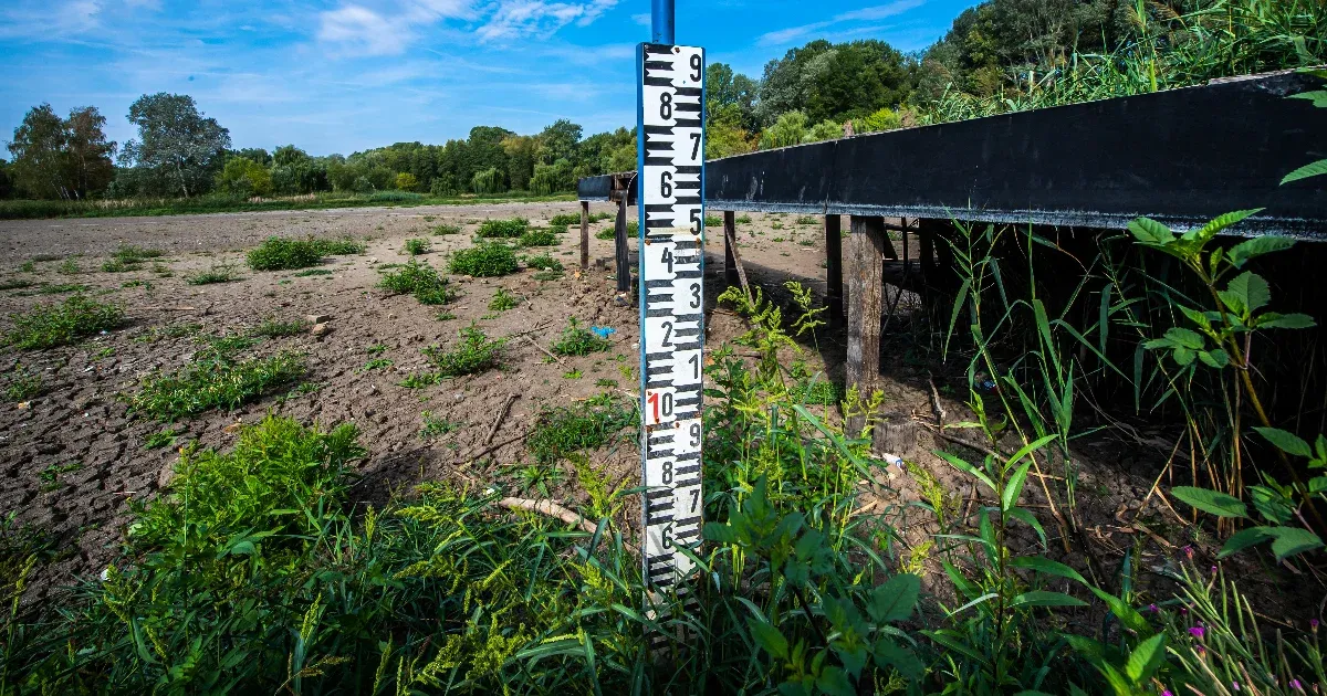 Arte: A Hortobágy teljes élővilágát fenyegeti a klímaváltozás