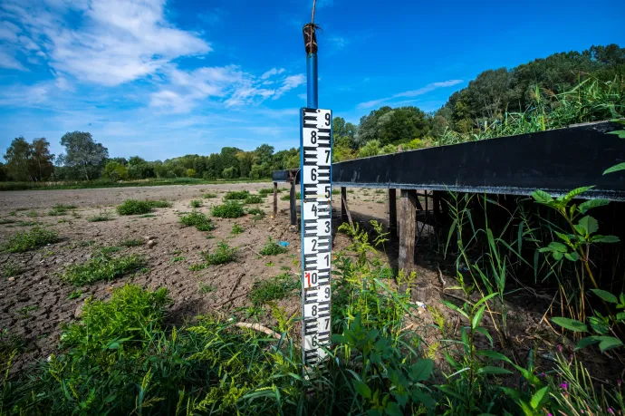 Arte: A Hortobágy teljes élővilágát fenyegeti a klímaváltozás