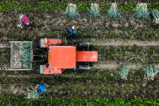 Arte: Nincs, aki tovább vigye a farmot, így szűnt meg 30 év alatt a belga gazdaságok több mint fele