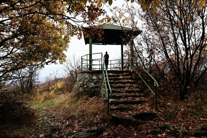 A Muzsla-kilátó és a Rákóczi-forrás – Fotó: Tenczer Gábor / Telex