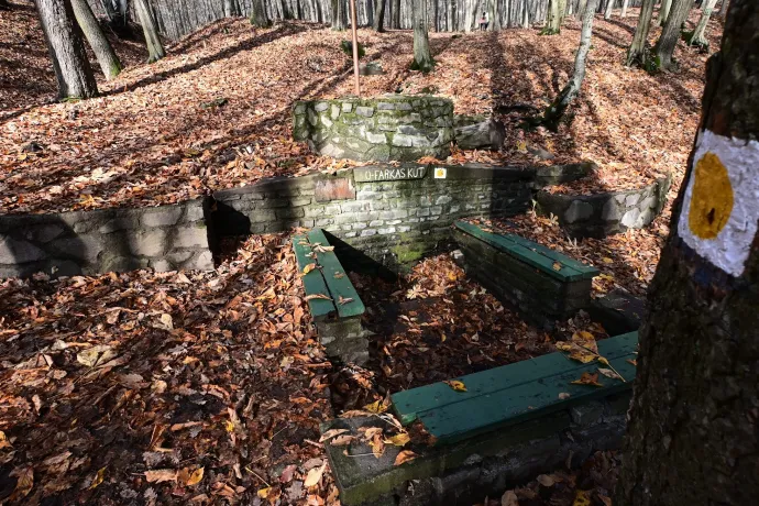 A Farkas-kút és a Sástói-kilátó – Fotó: Tenczer Gábor / Telex