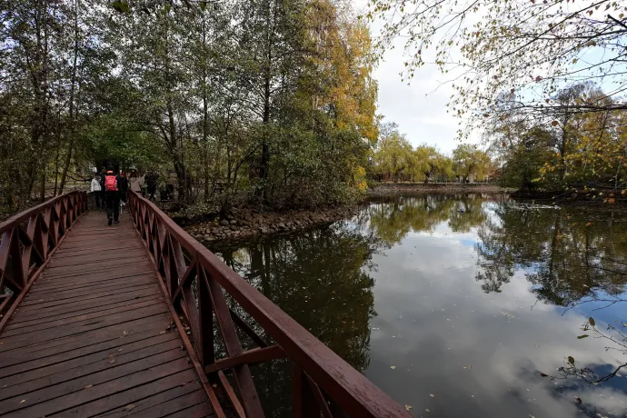 A Sás-tó és a Kozmáry-kilátó – Fotó: Tenczer Gábor / Telex