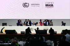 Gyenge és konkrétumok nélküli megállapodással zárult a brazíliai klímacsúcs