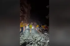 Balatoni vízilabdacsapat emelt le egy hatalmas fát az útról a dunántúli hóviharban