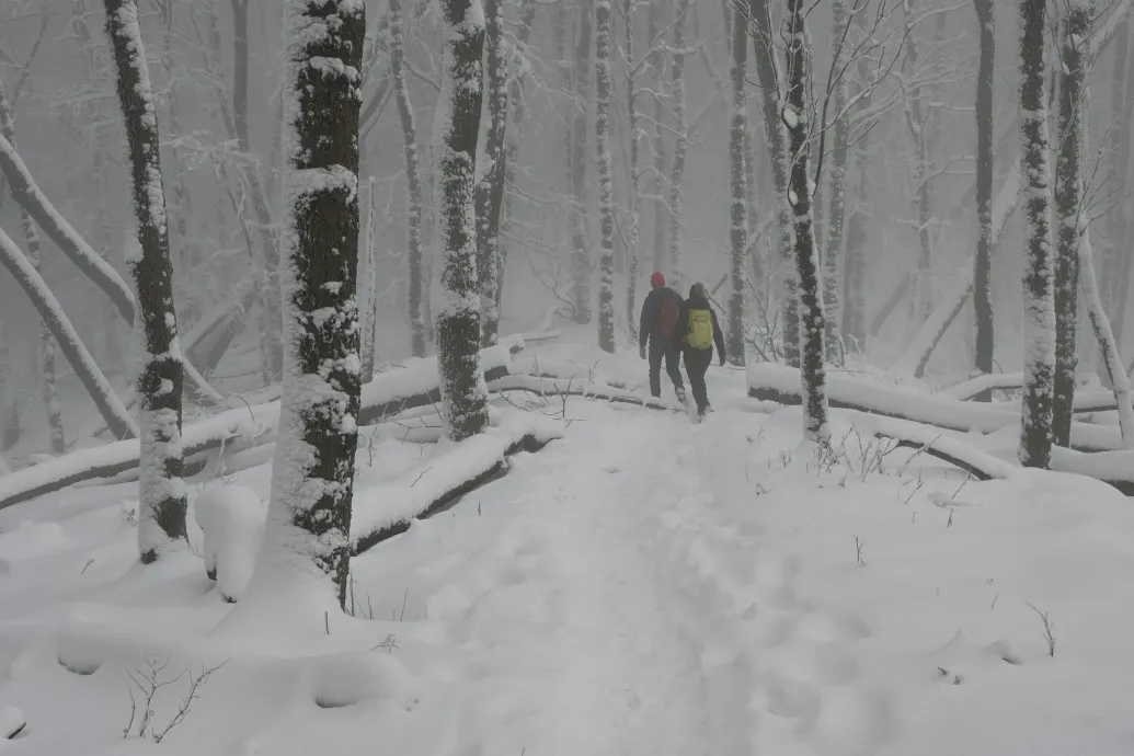 Az első hóban meglepően sokan bolyonganak este a sötét Börzsönyben
