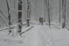Az első hóban meglepően sokan bolyonganak este a sötét Börzsönyben