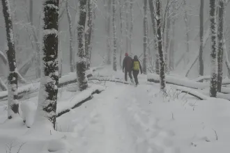 Az első hóban meglepően sokan bolyonganak este a sötét Börzsönyben