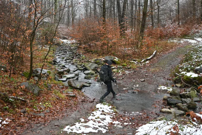 A Rózsás-pataktól a Pogányvárig – Fotó: Tenczer Gábor / Telex