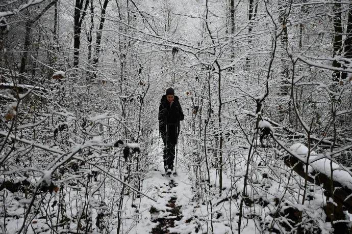 A Rózsás-pataktól a Pogányvárig – Fotó: Tenczer Gábor / Telex