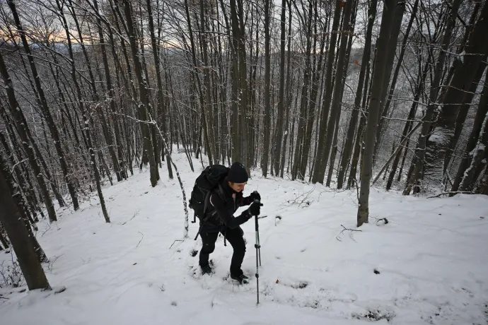 A Rózsás-pataktól a Pogányvárig – Fotó: Tenczer Gábor / Telex