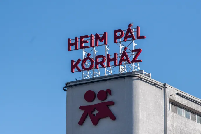 Több mint két hét után kiderülhet, mitől és miért voltak ételmérgezéses tünetei több száz gyereknek