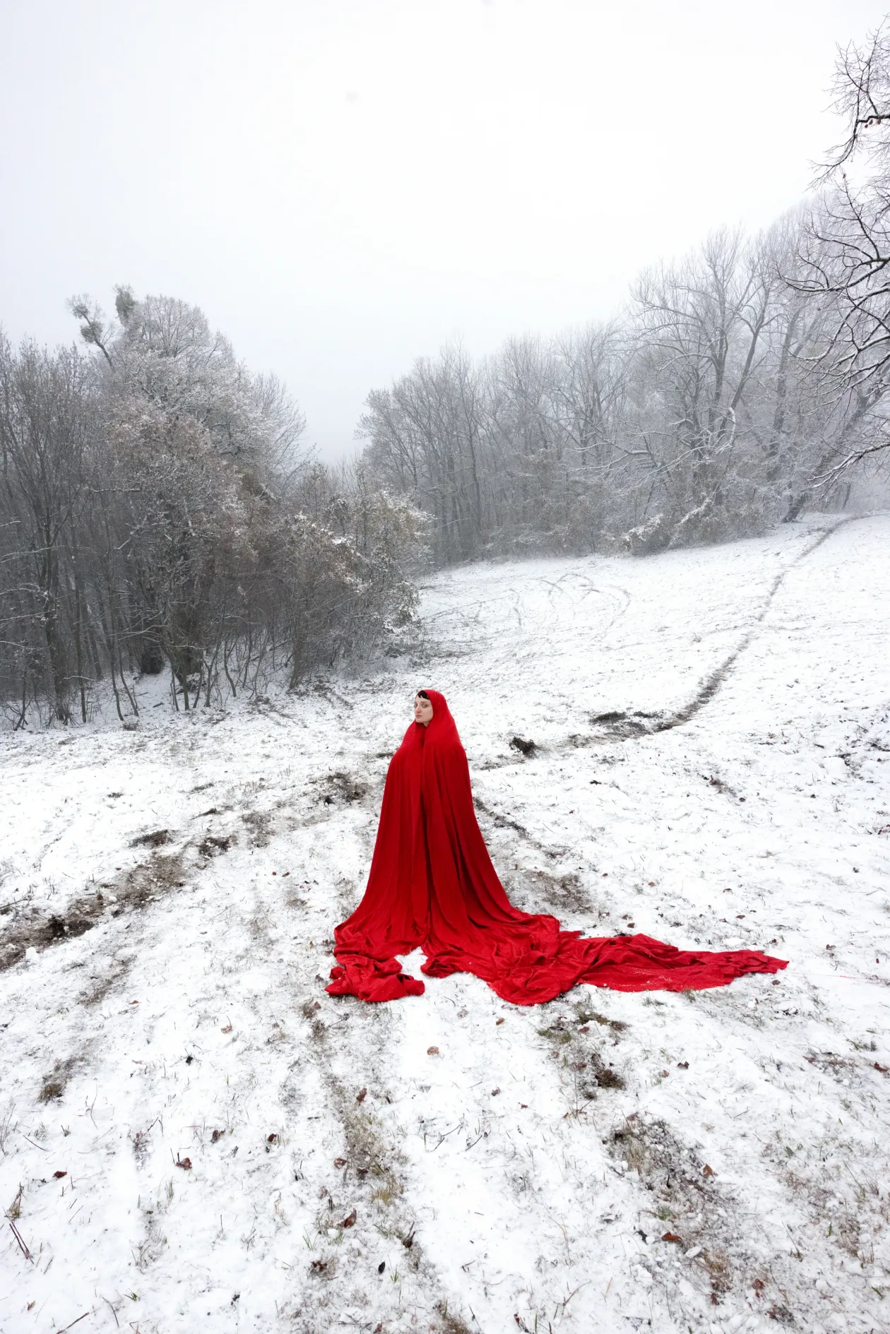 Fotó: Hevesi-Szabó Lujza / Telex