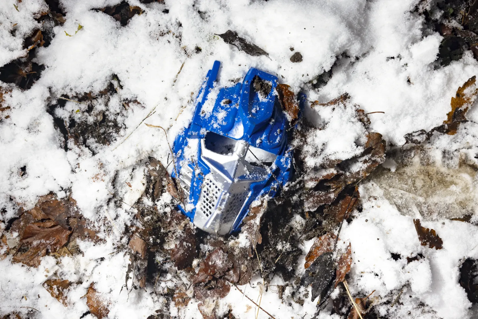 Fotó: Hevesi-Szabó Lujza / Telex