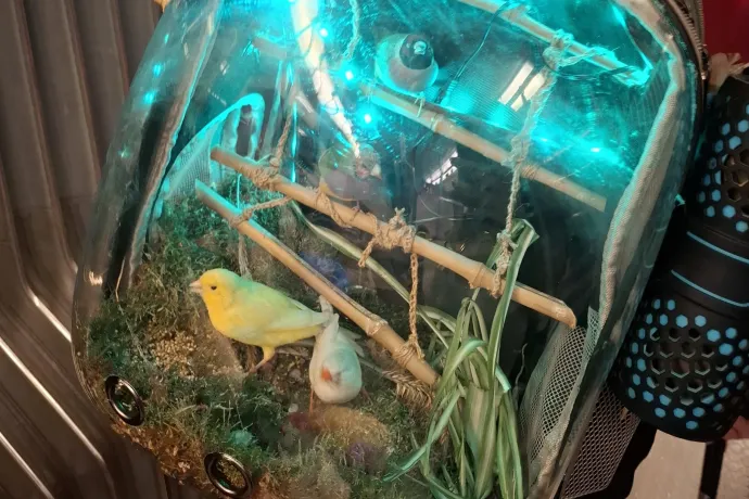 Veszélyeztetheti állatait egy bécsi férfi, aki egy madarat hord magával a hátizsákjában