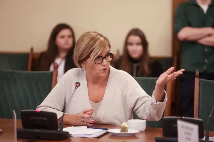 Kálmán Olga a kulturális bizottság ülésén – Fotó: Hevesi-Szabó Lujza / Telex