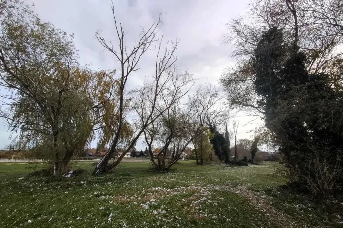 A terület olvasónk fotóin – Olvasói fotó / Telex