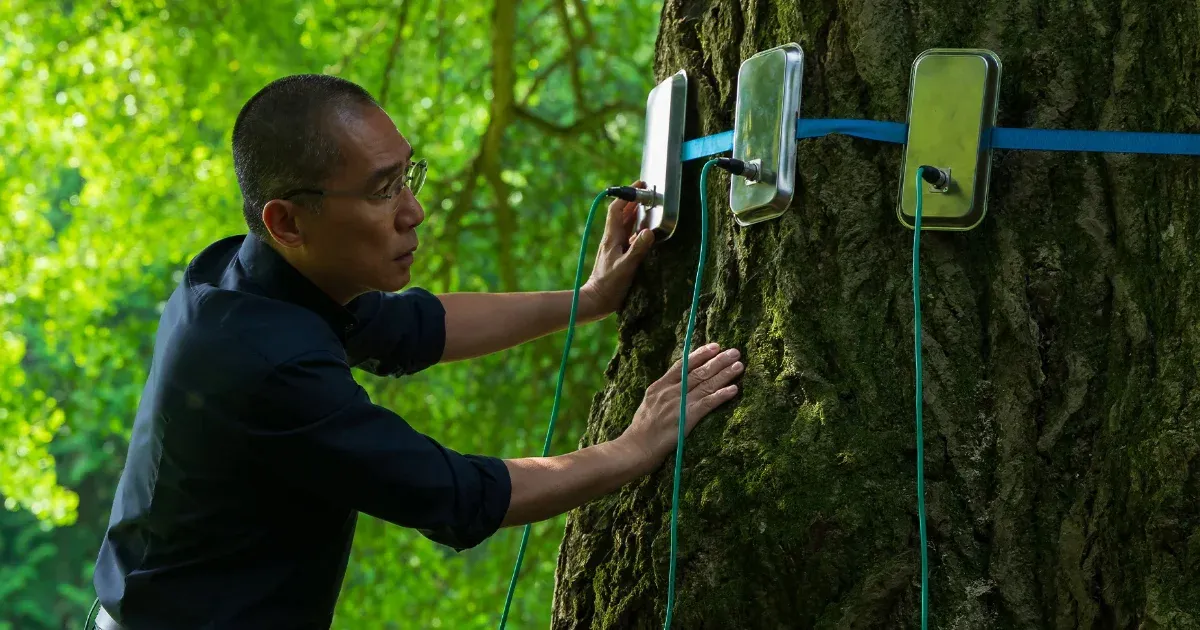Új előzetest kapott a Csendes barát, Enyedi Ildikó többszörösen díjazott filmje