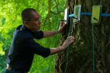 Új előzetest kapott a Csendes barát, Enyedi Ildikó többszörösen díjazott filmje