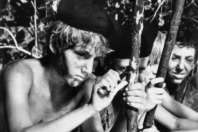 Telex Diszpó november 28-tól december 5-ig