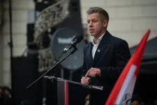 A bíróság eltiltotta a Mediaworksöt attól, hogy poloskaként ábrázolja Magyar Pétert