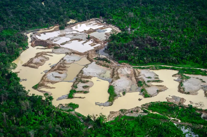 Erdőirtás elleni szabályok puhításánál talált ismét egymásra az Európai Néppárt és a Patrióták Európáért az EP-ben