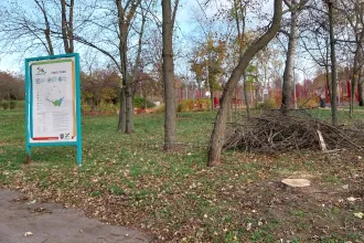 Húsz éve egy férfit nyelt el itt a föld, most a fákat