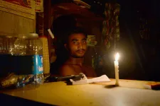 Amikor egyetlen majom miatt egy egész országban áramszünet volt