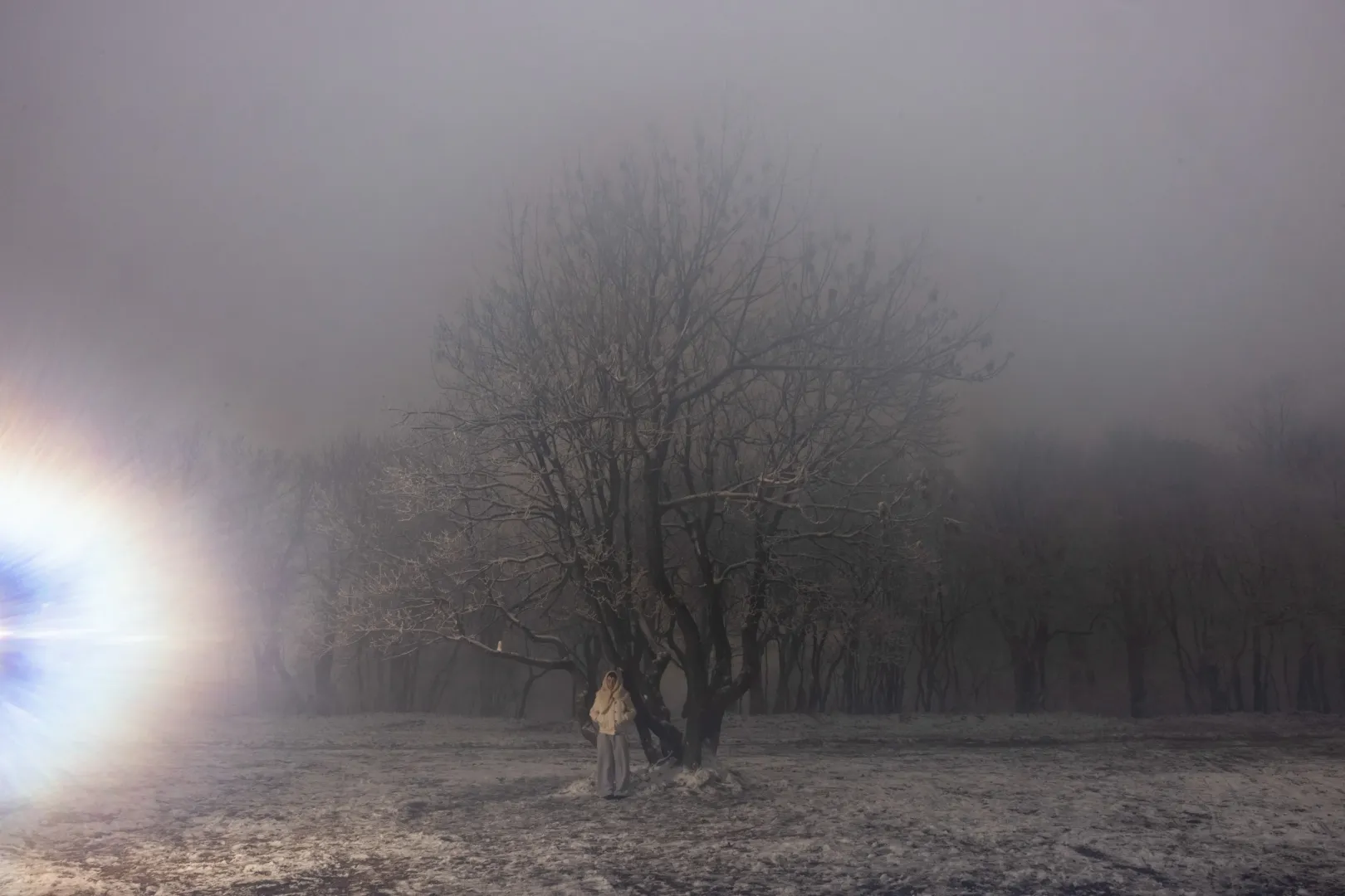 Fotó: Hevesi-Szabó Lujza / Telex