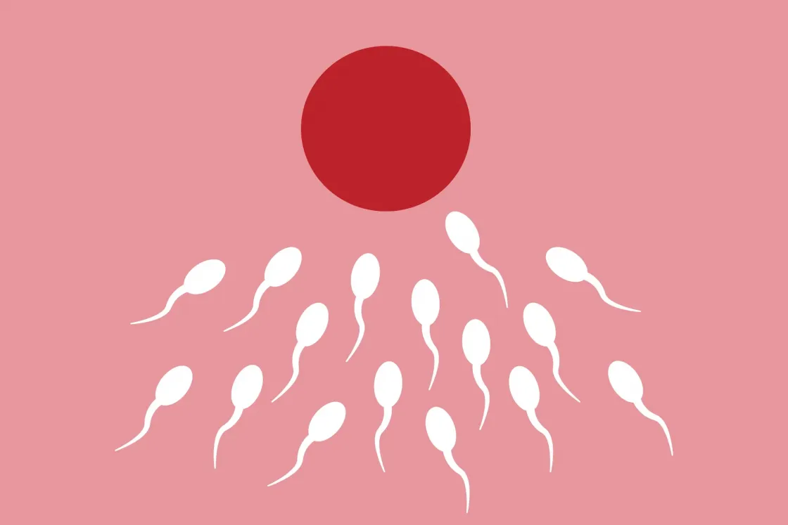 Orbánig is elért, mégis megbicsaklott – egyelőre Brnóba kell menniük a magyar meddő pároknak petesejtért