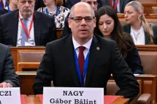 Szőlő utcai ügy: vizsgálja az ügyészség, akadályozta-e bárki a panaszok eljuttatását a nyomozókhoz