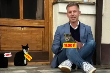 A Fidesz a szemünk előtt végezte ki a legfontosabb témát, amiről a kampányban beszélni kéne