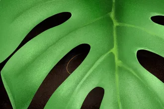 Nyíri Katalin: Egy hibátlan test kárba vész