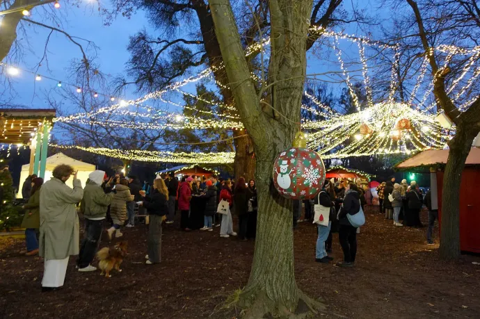 Fotó: Ács Bori / Telex
