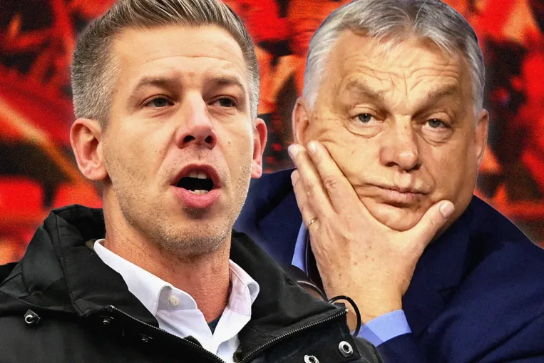 Orbán tízmilliárdot ígért az állatparknak, eközben az igazgató a Tisza jelöltje lett