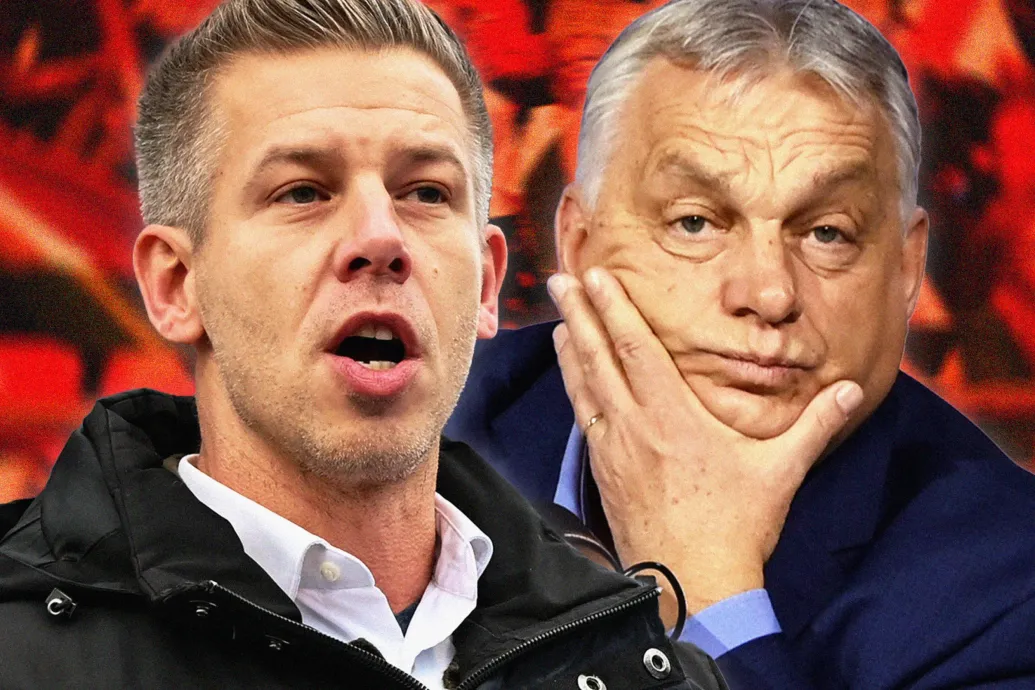 Orbán tízmilliárdot ígért az állatparknak, eközben az igazgató a Tisza jelöltje lett