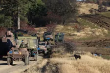 Vida Gábor: A lőtéri kutya esete a nemzeti ünneppel