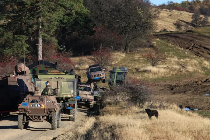 Vida Gábor: A lőtéri kutya esete a nemzeti ünneppel