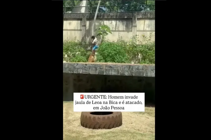 Oroszlán ölt meg egy férfit egy brazíliai állatkertben