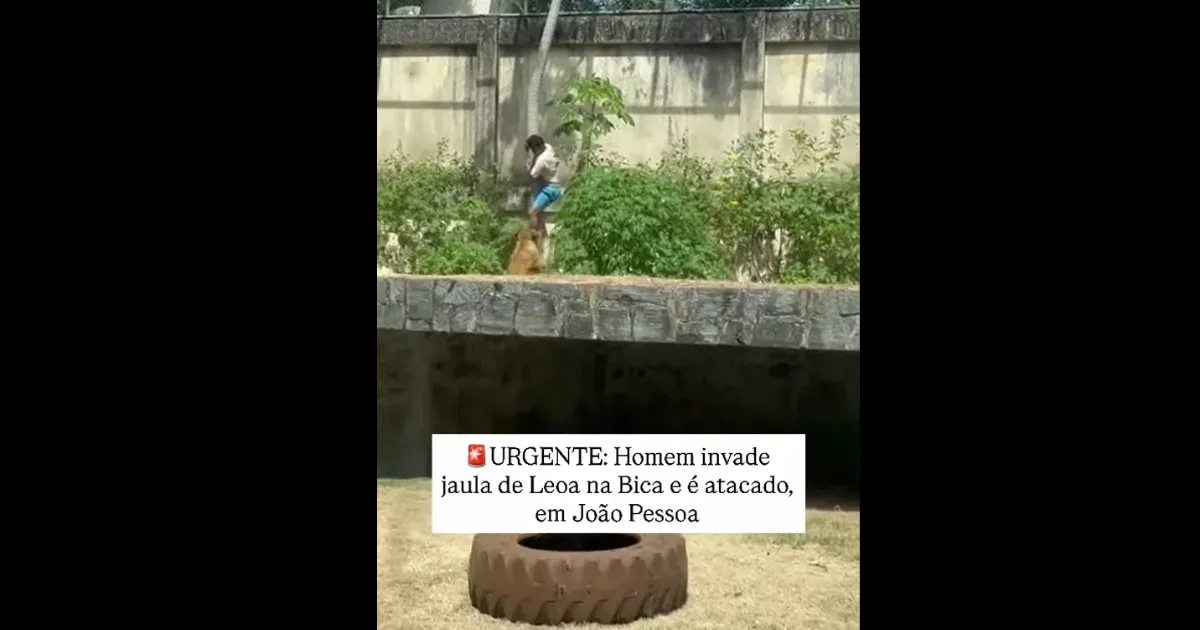 Oroszlán ölt meg egy férfit egy brazíliai állatkertben