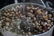 Az évszázad csigarablása: több mint 32 millió forintnyi éticsigát loptak el egy francia tenyésztőtől