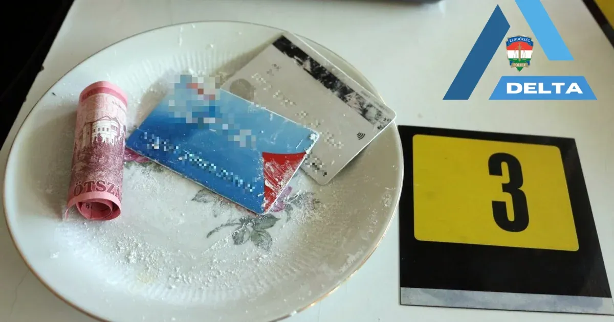 Tizenegy év szabadságvesztést is kaphatnak a dílerkedéssel vádolt szegedi DJ-k