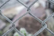 Transzilvanizmus, hogyan tovább?