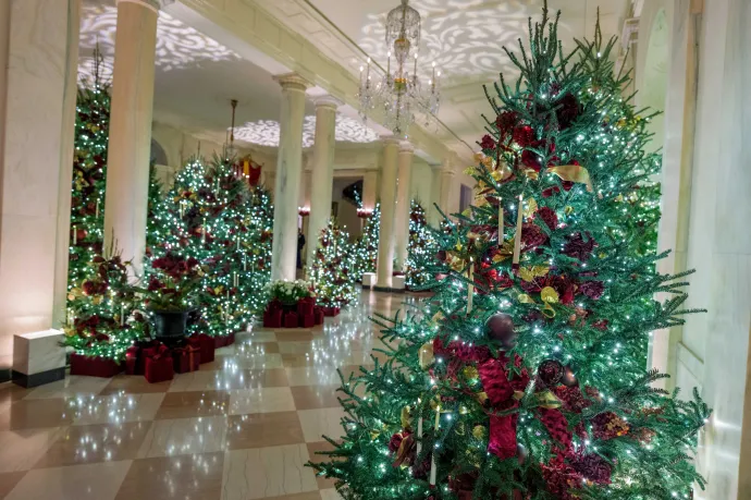 Fotó: Aaron Schwartz / Reuters