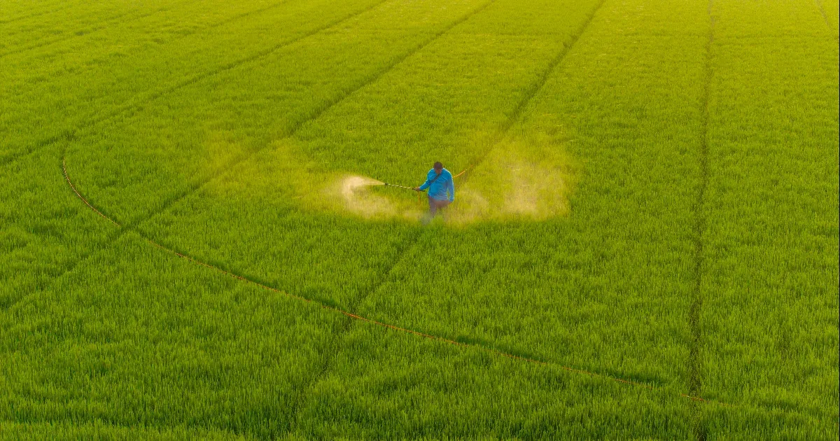 Egy friss kutatás szerint a gyakran használt vegyi anyagok károsíthatják a bélmikrobiomot