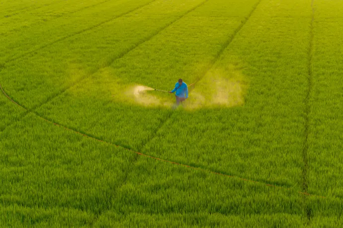 Egy friss kutatás szerint a gyakran használt vegyi anyagok károsíthatják a bélmikrobiomot